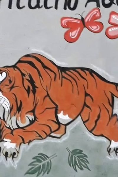 tigre